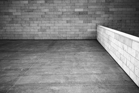 Tiled wall with a blank white bricks, black and white image