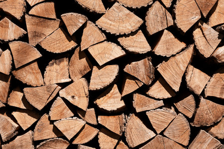 Stacked chopped fire wood texture backgroundの写真素材