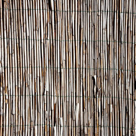 Texture of old bamboo fence, can be used for background 