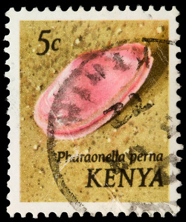 KENYA - CIRCA 1971: A stamp printed in Kenya shows shell pharaonella perna, circa 1971 の写真素材