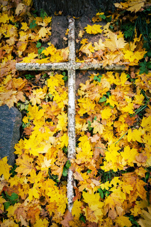 A cross in a cemetery covered in fall leaves の写真素材