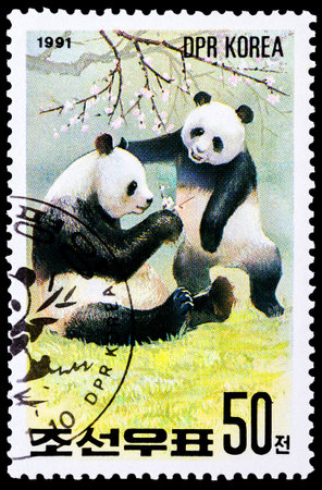 NORTH KOREA - CIRCA 1991: A stamp printed in North Korea shows image of Panda in a natural habitat, circa 1991のeditorial素材
