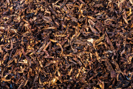 Dried smoking tobacco leaves texture backgroundの写真素材