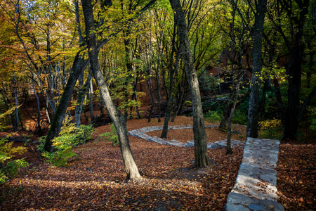 Old stone path through golden autumn forest