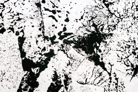 Abstract hand painted black and white acrylic arts backgroundの写真素材