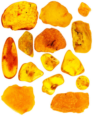 Collection of various amber pieces isolated on white backgroundの写真素材