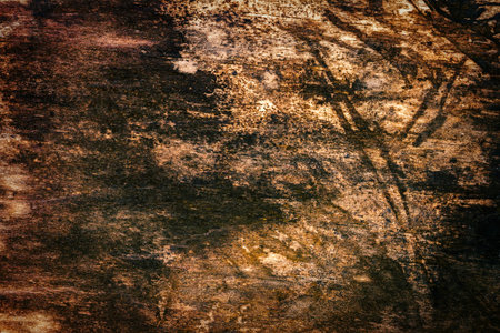 Old rotten moldy wood texture background