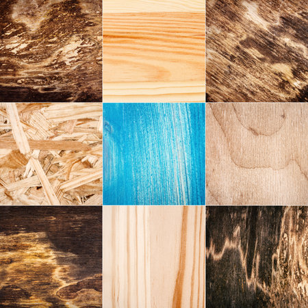 Big size collection of various wood texturesの写真素材