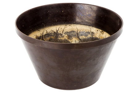 Old grungy plastic flower pot isolated on white backgroundの写真素材
