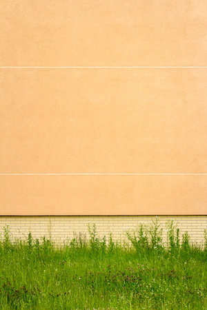 Modern yellow plaster wall with green grassの写真素材