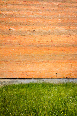Red brick wall background with green grass