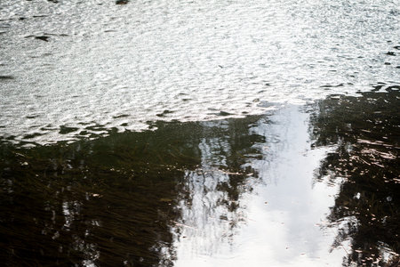 Surface of pond covered with melting ice. Last spring ice texture background