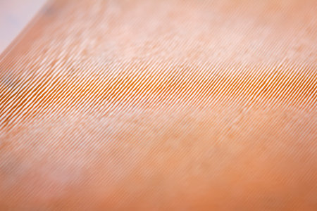 Macro shot of orange vinyl record. Surface of an old vinyl record. Shallow deph of field.の写真素材