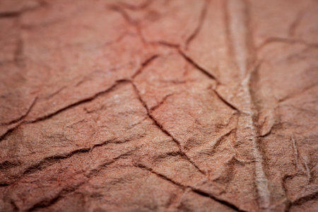 Extreme closeup of red wrinkled handmade paper with shallow deph of field.の写真素材