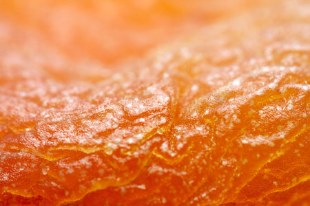 Extreme close up of dried orange apricot texture. Selective focus.の写真素材