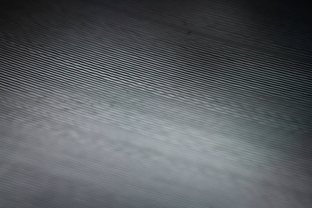 Macro shot of black vinyl record. Surface of an old vinyl record. Shallow deph of field.の写真素材