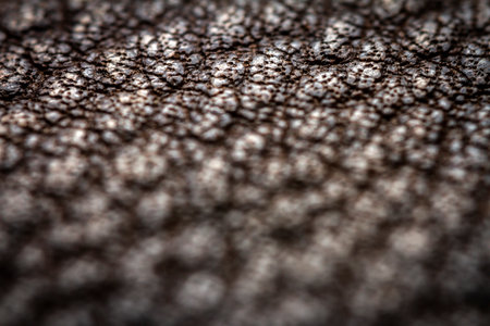Extreme closeup of a leather, shallow deph of field. Macro for brown leather. Selective focus.