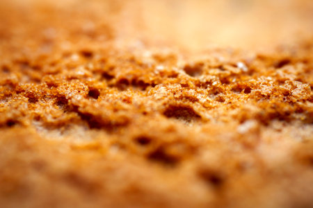 Extreme macro of gingerbread cookie. Selective focus, shallow depth of field.の写真素材