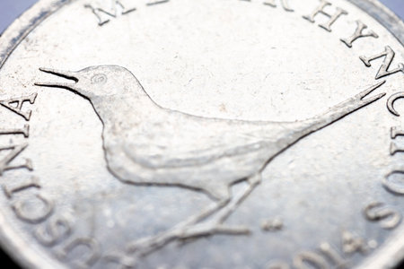 A fragment of croatian metal coin macro photo of one kuna. Selective focus.の写真素材