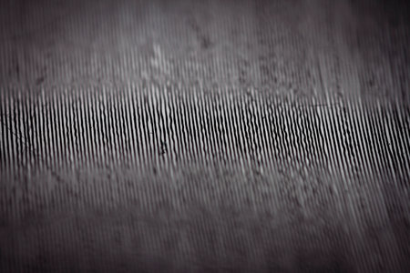Macro shot of black vinyl record showing scratches. Surface of an old vinyl record. Shallow deph of...
