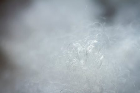 Extreme macro of polyester stable fiber. Selective focus, shallow depth of field.の写真素材