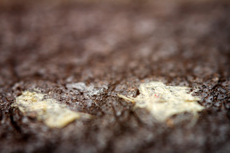 Extreme closeup of a leather, shallow deph of field. Macro for brown leather. Selective focus.の写真素材