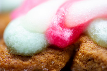 Extreme macro of glazed gingerbread cookie. Selective focus, shallow depth of field.の写真素材