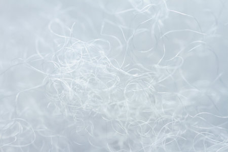 Extreme macro of polyester stable fiber. Selective focus, shallow depth of field.の写真素材