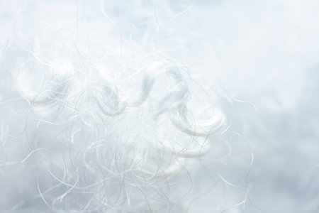 Extreme macro of polyester stable fiber. Selective focus, shallow depth of field.の写真素材