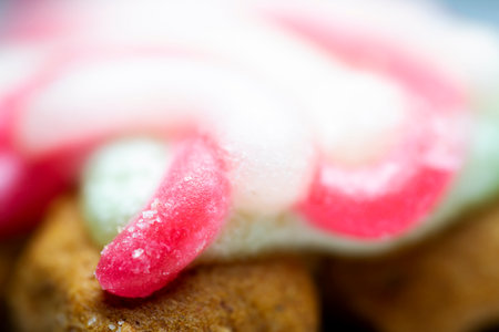 Extreme macro of glazed gingerbread cookie. Selective focus, shallow depth of field.