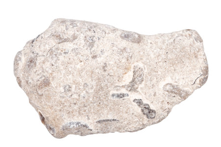 Top view of single gray pebble isolated on white background.の写真素材