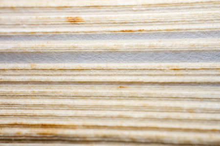 Extreme closeup of an old book from the side. Selective soft focus, shallow depth of field....