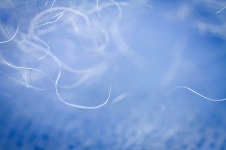 Extreme macro of polyester stable fiber on blue background. Selective focus, shallow depth of field. Abstract dreamy backgroundの写真素材