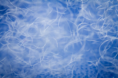 Extreme macro of polyester stable fiber on blue background. Selective focus, shallow depth of field. Abstract dreamy backgroundの写真素材