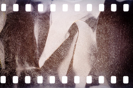 Dusty and grungy 35mm film texture or surface. Perforated scratched camera film isolated on white background.の写真素材