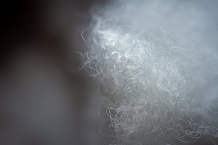 Extreme macro of polyester stable fiber. Selective focus, shallow depth of field.