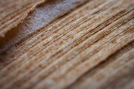 Extreme closeup of an old book from the side. Selective soft focus, shallow depth of field. Bibliophile, bookworm abstract backgroundの写真素材
