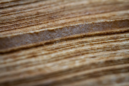 Extreme closeup of an old book from the side. Selective soft focus, shallow depth of field. Bibliophile, bookworm abstract backgroundの写真素材