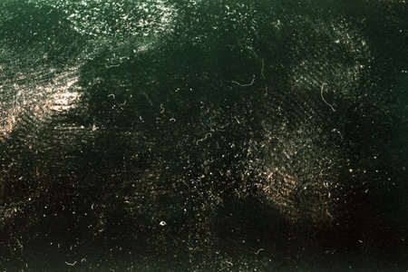 Blank grained film strip texture background with heavy grain, dust and finger printsの写真素材