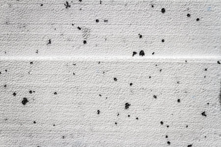 Abstract close up texture photo of compressed white with black dots blocksの写真素材