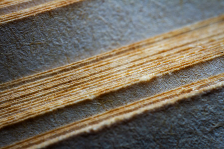 Extreme closeup of an old book from the side. Selective soft focus, shallow depth of field. Bibliophile, bookworm abstract backgroundの写真素材