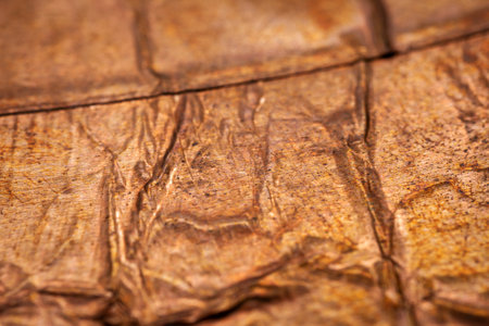 Extreme closeup of crumpled brass foil texture. Selective soft focus, shallow depth of field.の写真素材