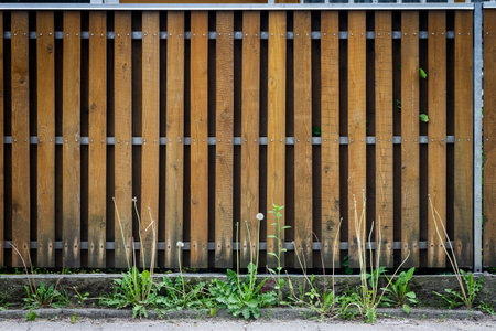 Fence of brown wooden boards. Wooden fence with grass under it.の写真素材