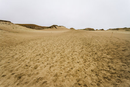 Lots of footsteps in Dead Dunes, Lithuania