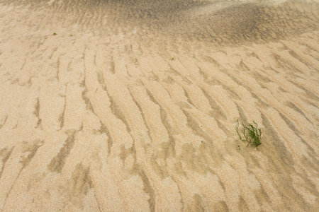 Close up of beach sand texture backgroundの写真素材