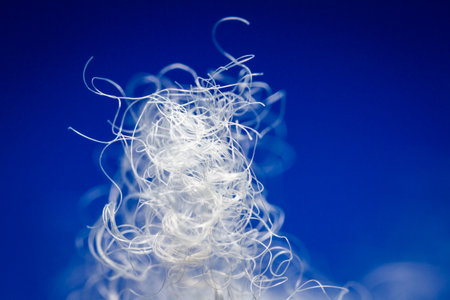 Extreme macro of polyester stable fiber on blue background. Selective focus, shallow depth of field. Abstract dreamy backgroundの写真素材