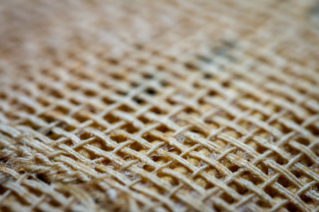 Extreme closeup of an old book from the side. Selective soft focus, shallow depth of field. Abstract background. Book binding detail.の写真素材
