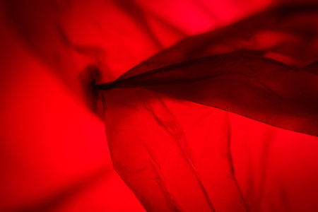 Extreme close up of red empty plastic bag background. The plastic surface is wrinkly and tattered...