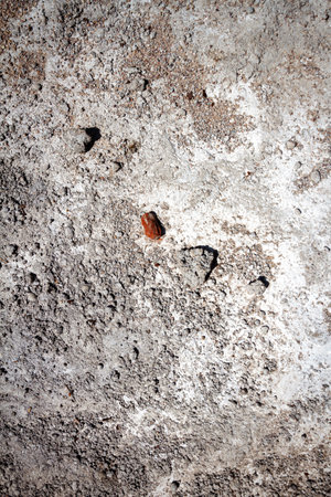 Concrete and cement stains on ground. Abstract messy construction backgroundの写真素材
