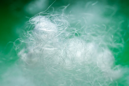 Extreme macro of polyester stable fiber on green background. Selective focus, shallow depth of field. Abstract dreamy backgroundの写真素材